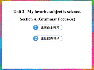 六年级英语下册 UNIT 2 MY FAVORITE SUBJECT IS SCIENCE SECTION A(GRAMMAR FOCUS-3C)课件 鲁教版五四制