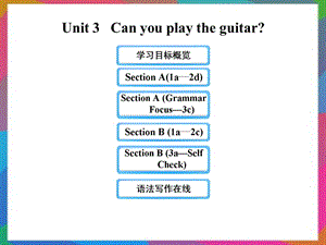 六年级英语下册 UNIT 3 CAN YOU PLAY THE GUITAR课件 鲁教版五四制