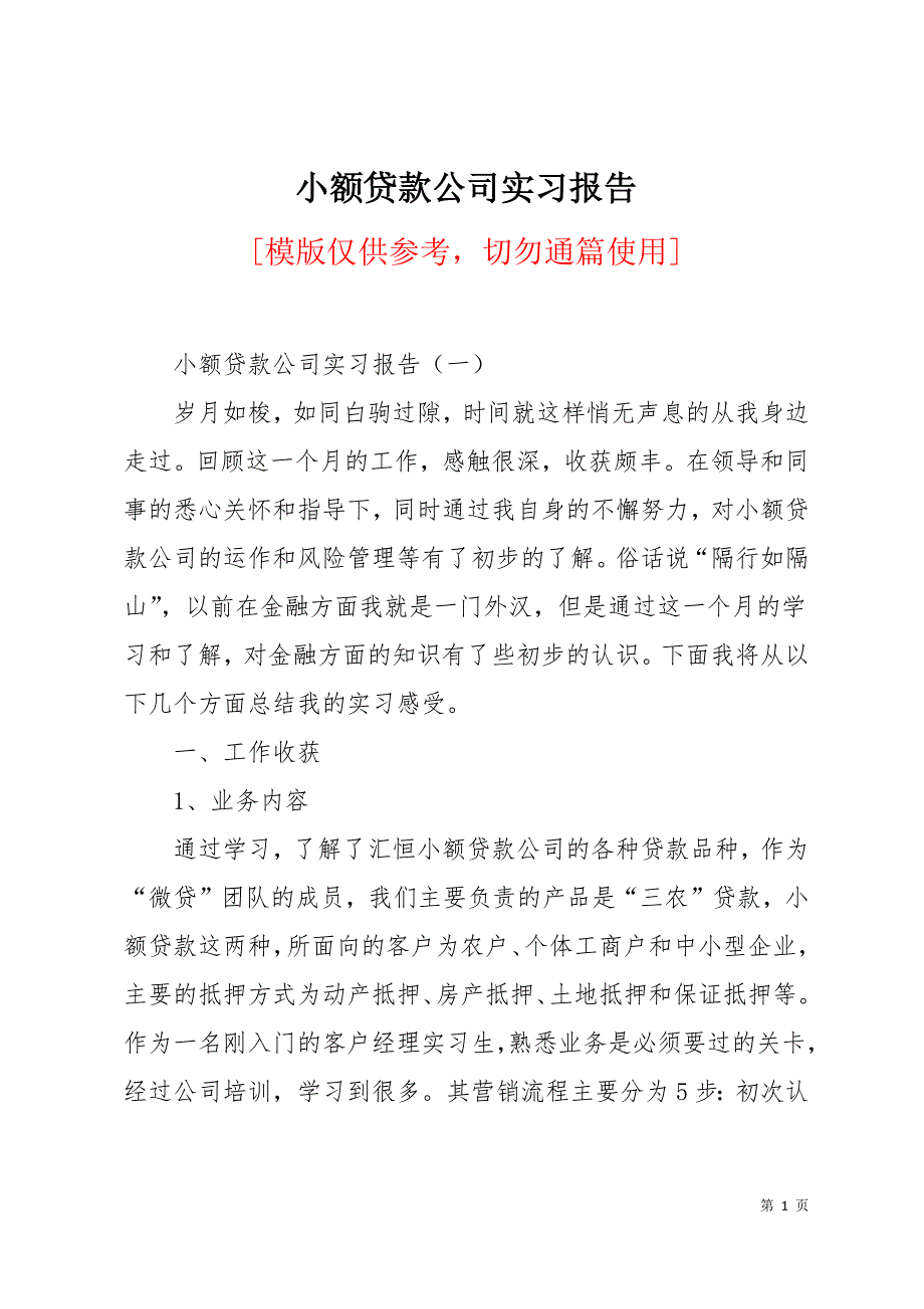 小额贷款公司实习报告16页_第1页