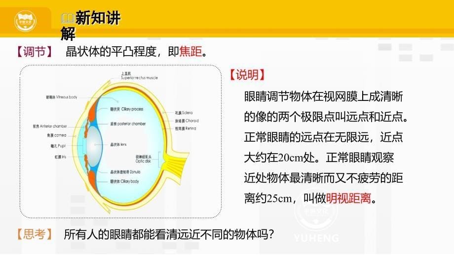 教科版八年级物理上册教学课件6.神奇的眼睛_第5页