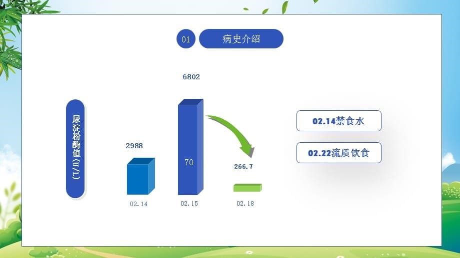 蓝色卡通急性胰腺炎病人医疗护理教学课件PPT模板_第5页