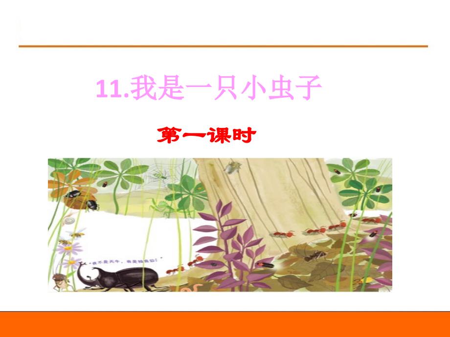 2021春季统编版小学语文二年级下册第四单元-11我是一只小虫子_第1页