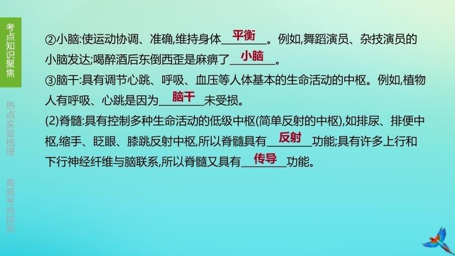 【最新】（北京专版）中考生物复习方案 主题五 生物圈中的人 第17课时 人体通过神经系统和内分泌系统调节生命活动课件-人教级全册生物课件_第5页