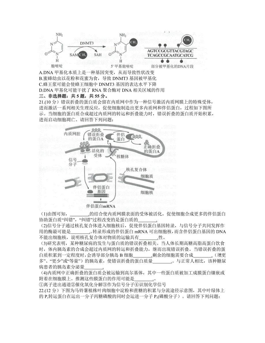 江苏省苏州市2021届高三下学期2月期初学业质量阳光指标调研生物试题 Word版含答案_第5页