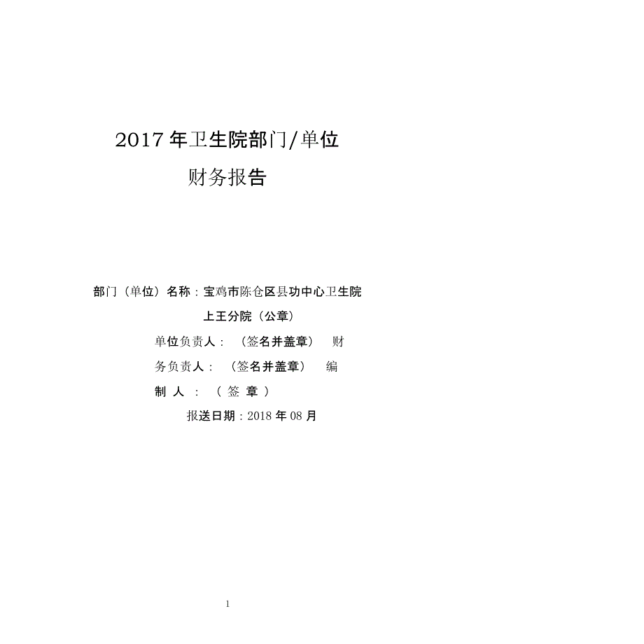 度卫生院部门财务报告（2021年整理）_第1页