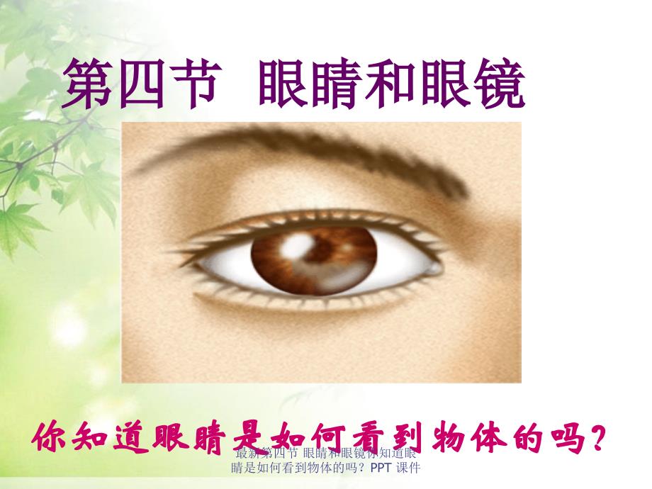 最新第四节 眼睛和眼镜你知道眼睛是如何看到物体的吗？PPT 课件_第1页