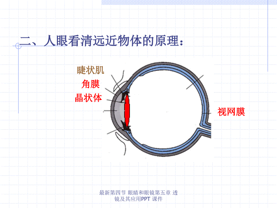 最新第四节 眼睛和眼镜第五章 透镜及其应用PPT 课件_第4页