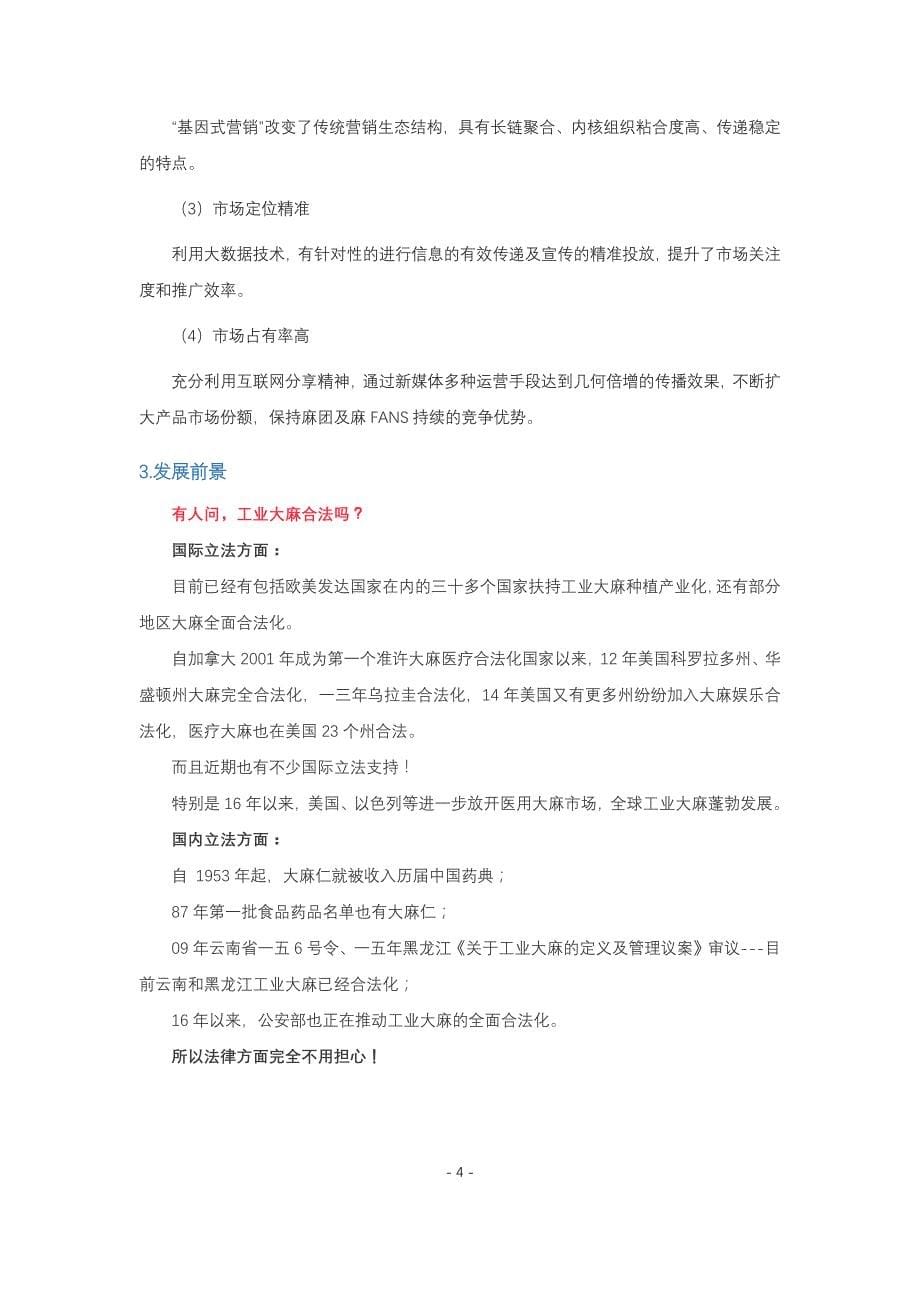 [精选]网络营销报告_第5页