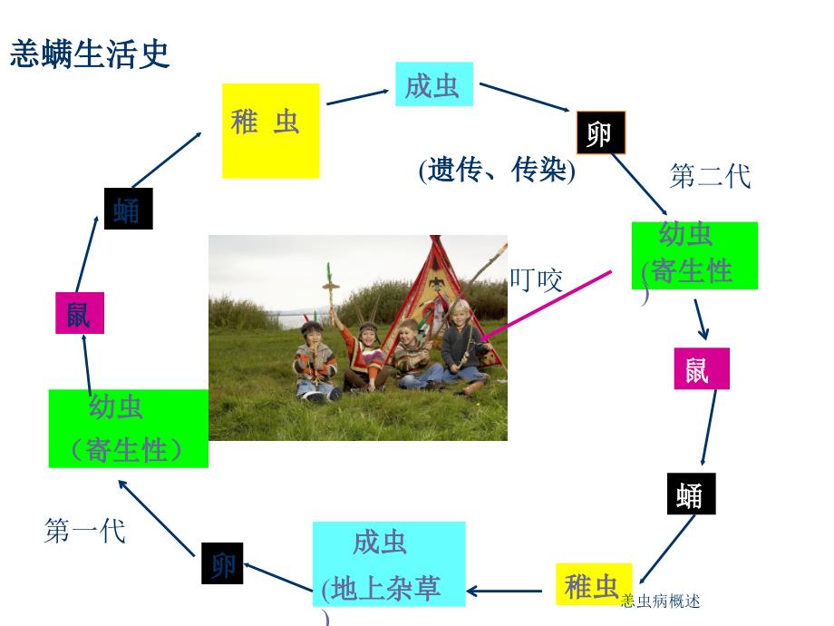 恙虫病概述（经典实用）_第4页