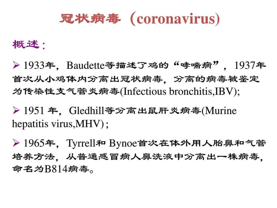 新冠状病毒实验室检测课件_第2页