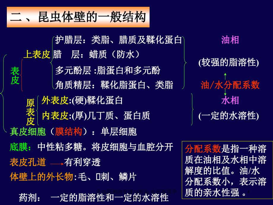 杀虫药剂的穿透与转运 农药毒理学 教学课件_第4页