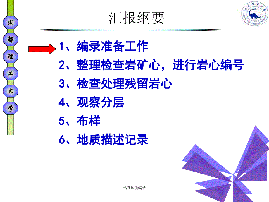 钻孔地质编录（经典实用）_第3页