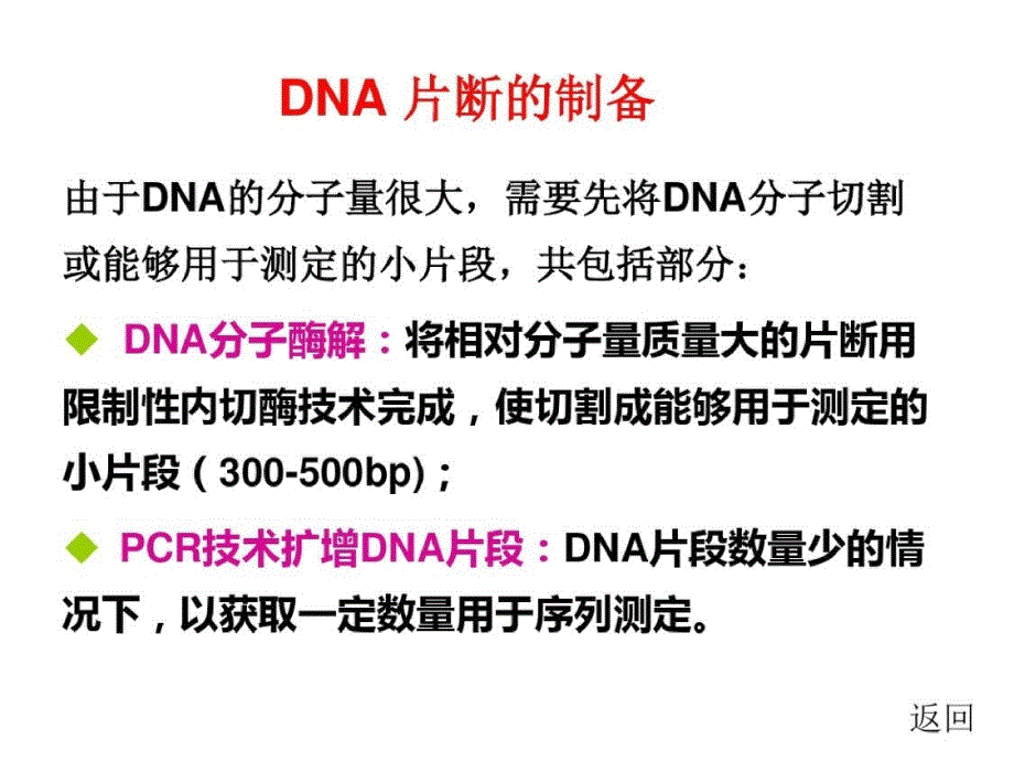 化学生物学导论-第三章核酸4-5节ppt课件[精选]_第4页