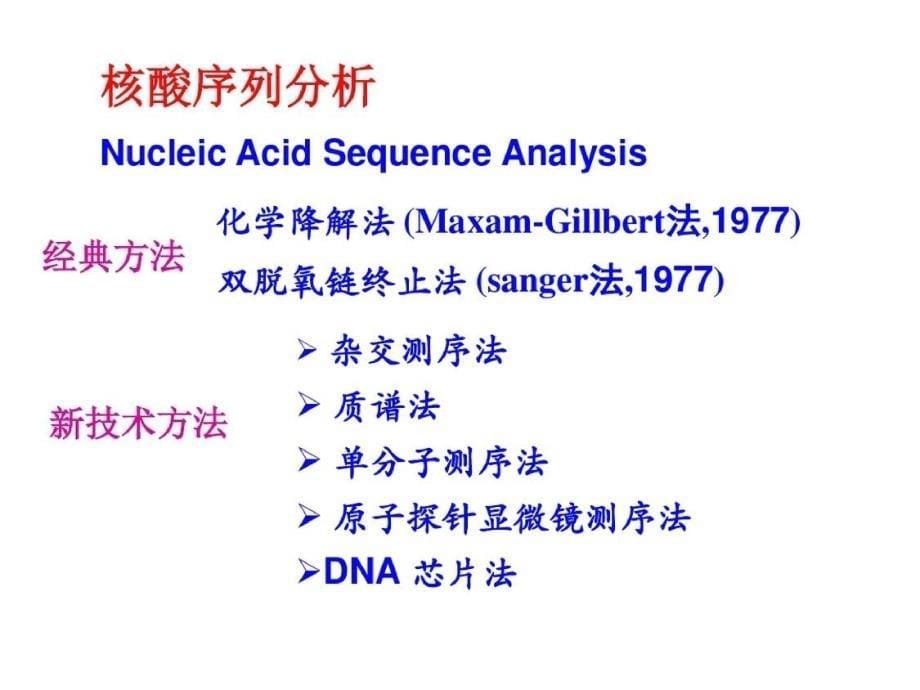 化学生物学导论-第三章核酸4-5节ppt课件[精选]_第5页