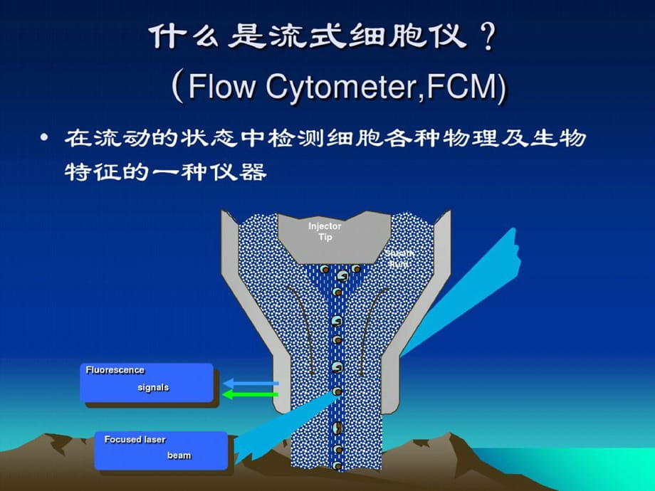 流式细胞术在肿瘤学中的应用马丽5ppt课件[精选]_第2页