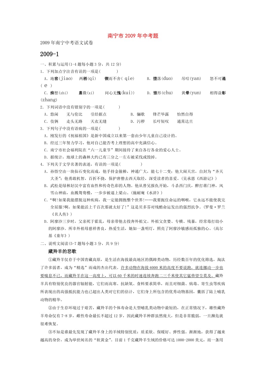 2009年广西南宁市中考语文试题_第1页