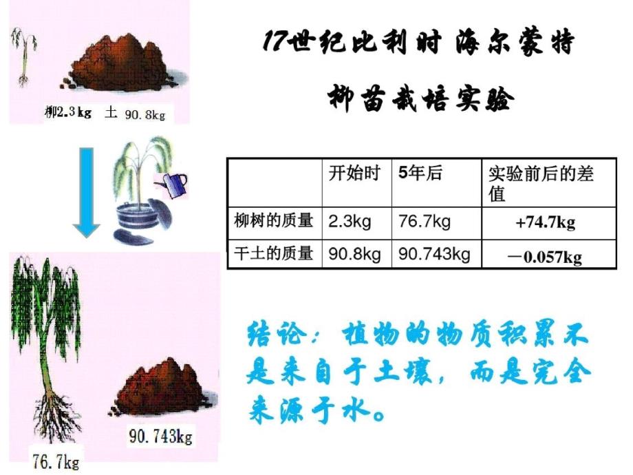 光合作用ppt课件[精选]_第3页