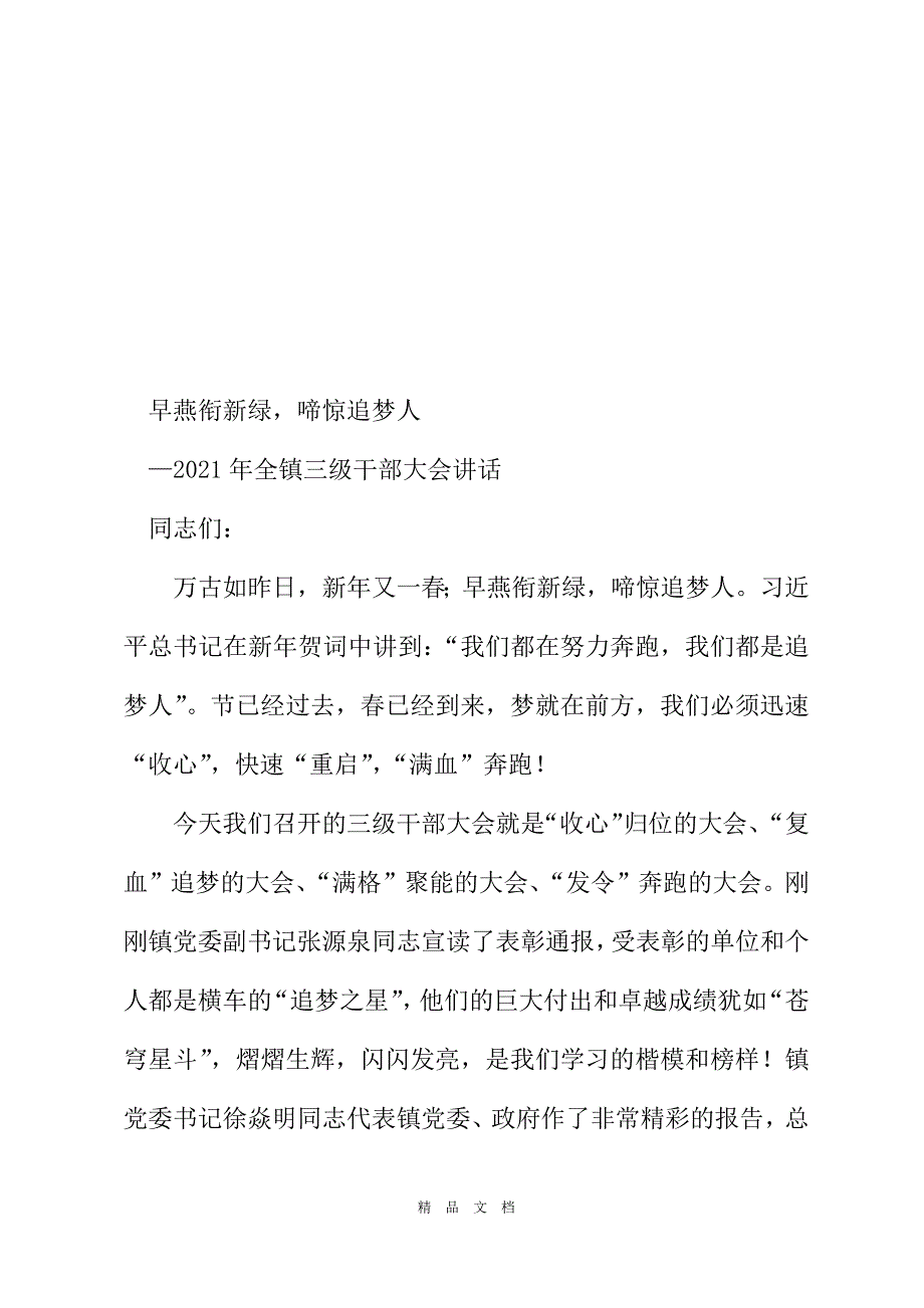 2021年度在全镇三级干部大会讲话[精选WORD]_第2页