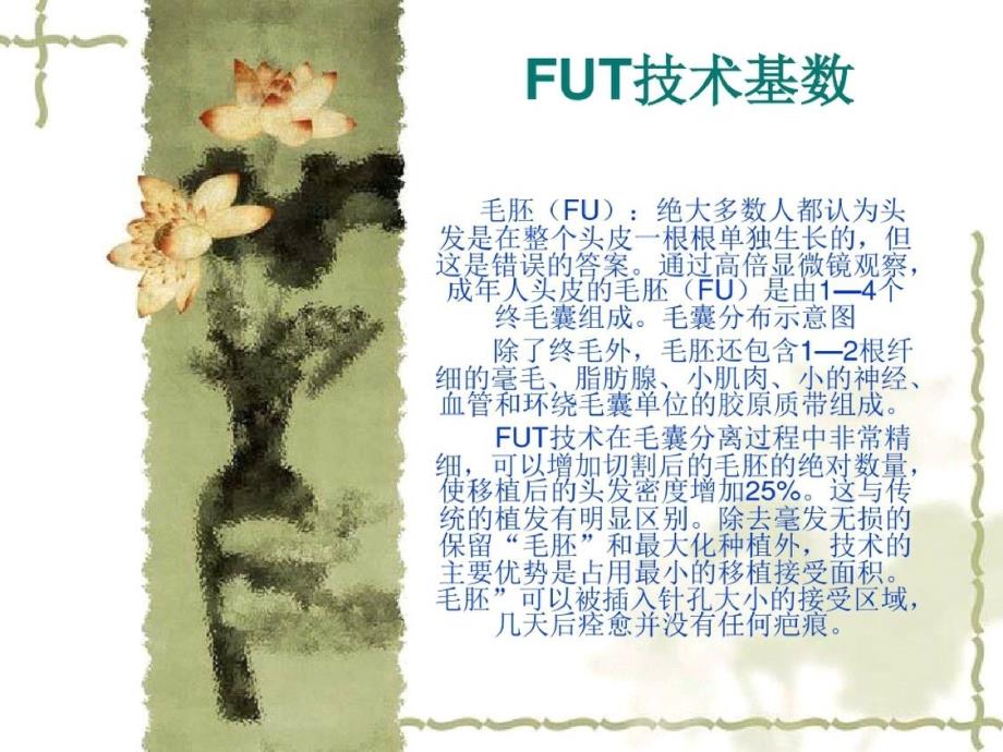 毛发移植FUT技术ppt课件[精选]_第3页