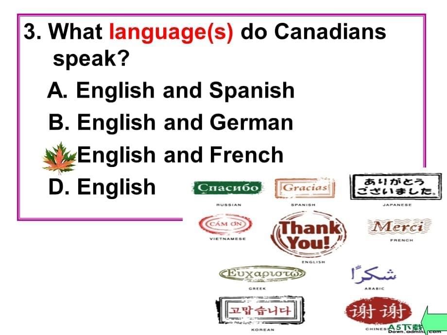 高中英语人教版必修3Unit 5 Canada--the true northReading课件_第5页