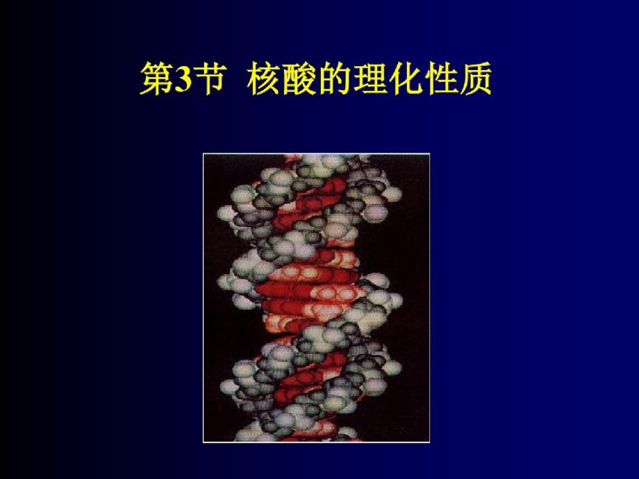 南京农业大学生物化学6ppt课件[精选]_第1页