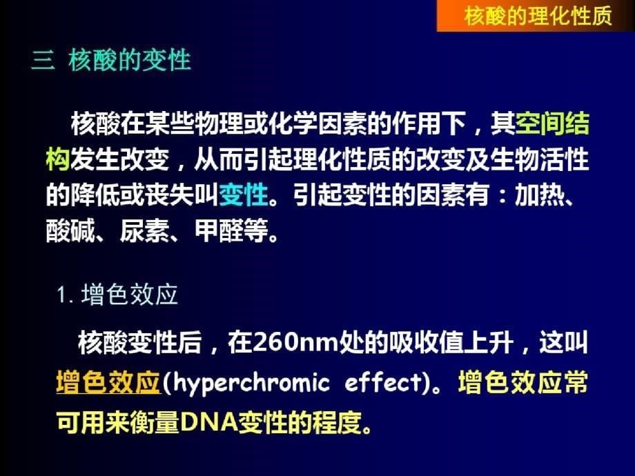 南京农业大学生物化学6ppt课件[精选]_第5页