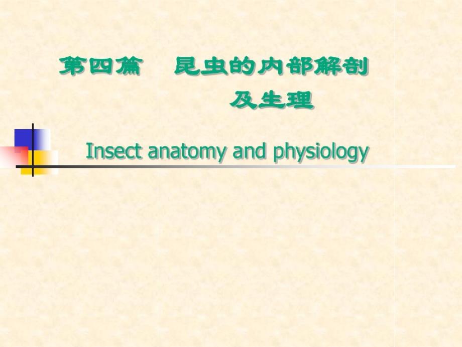 内部解剖和生理ppt课件[精选]_第1页