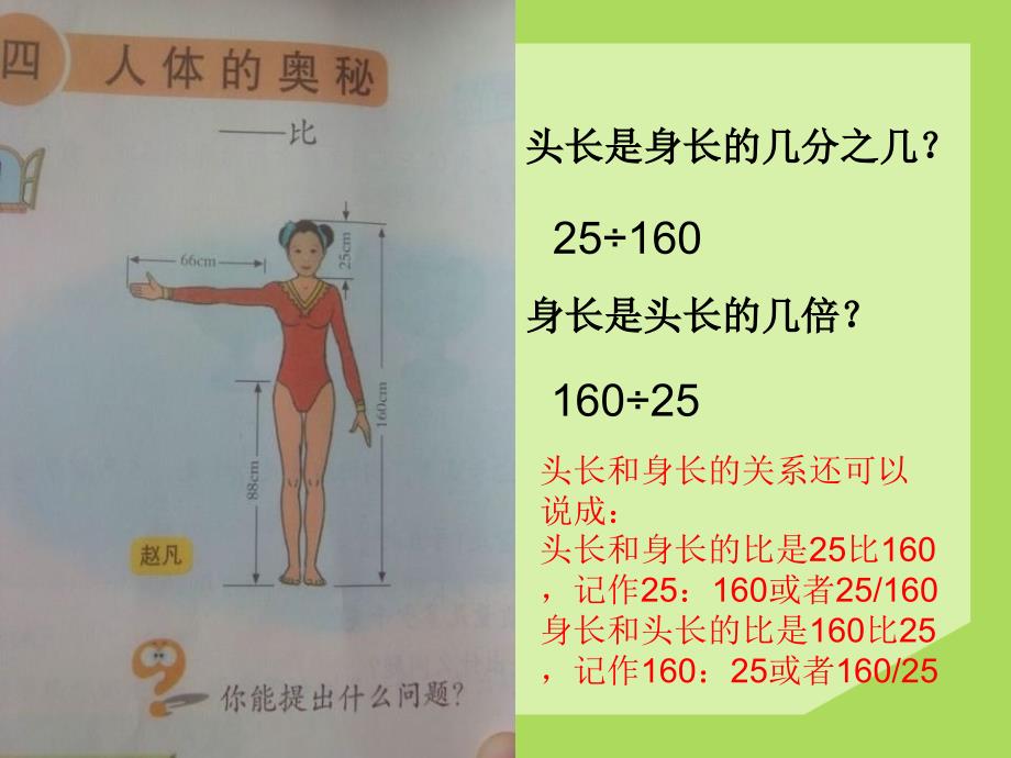 2014秋青岛版数学六上第四单元《人体的奥秘 比》ppt课件4_第2页