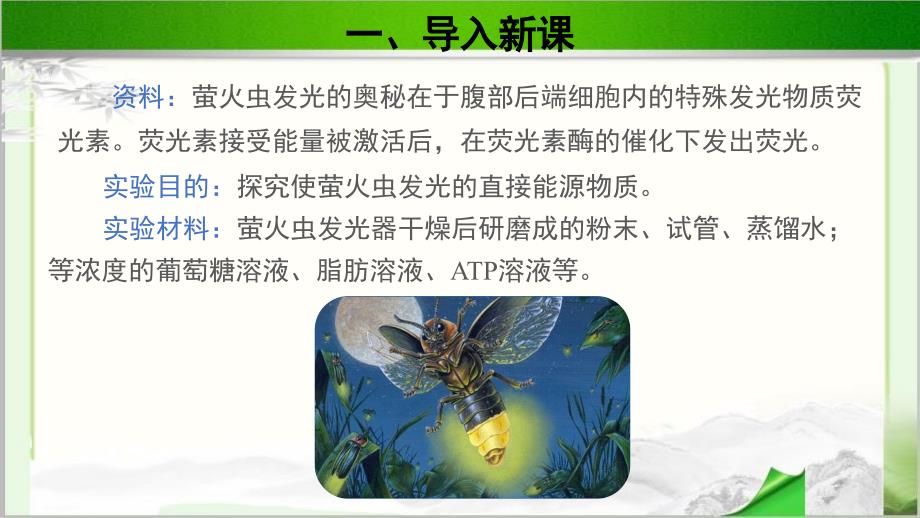 《第二节 ATP》公开课教学课件【北师大高中生物必修1】_第3页