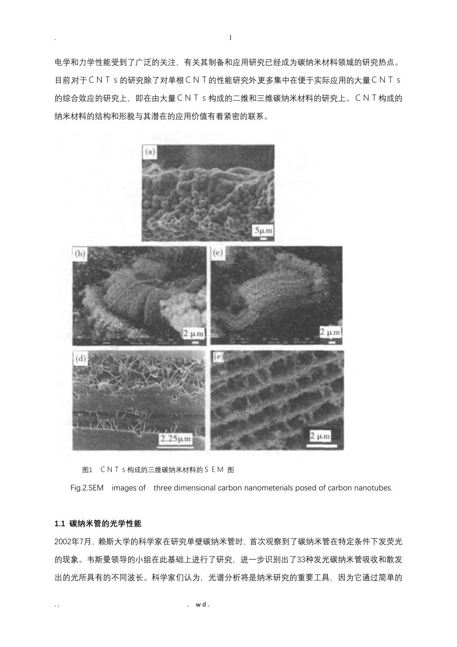 碳纳米材料的研究报告进展_第4页