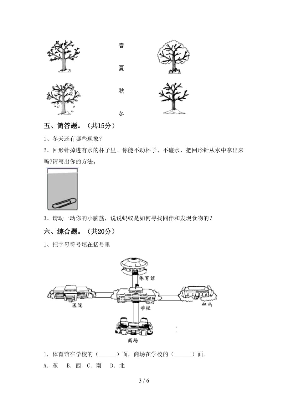 最新教科版二年级科学下册期末考试题（含答案）_第3页