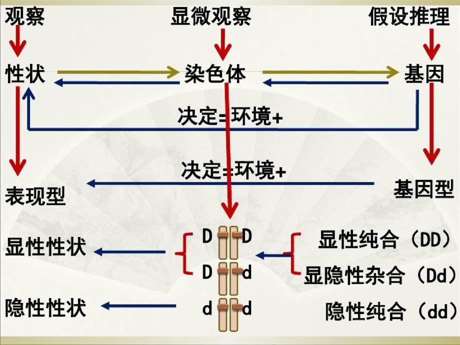 生物归纳总结ppt课件[精选]_第3页