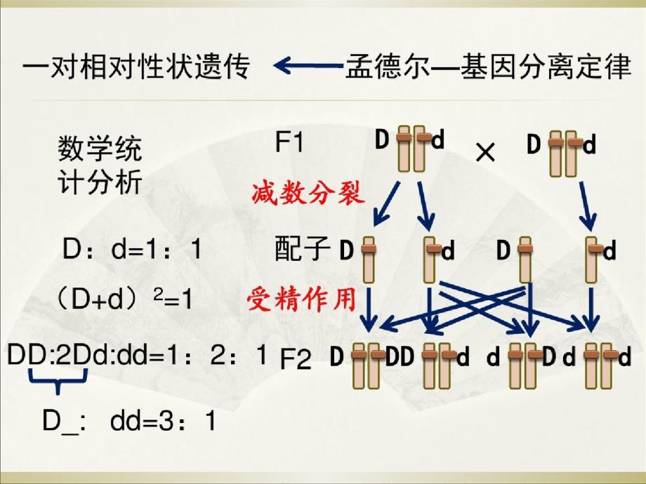 生物归纳总结ppt课件[精选]_第4页