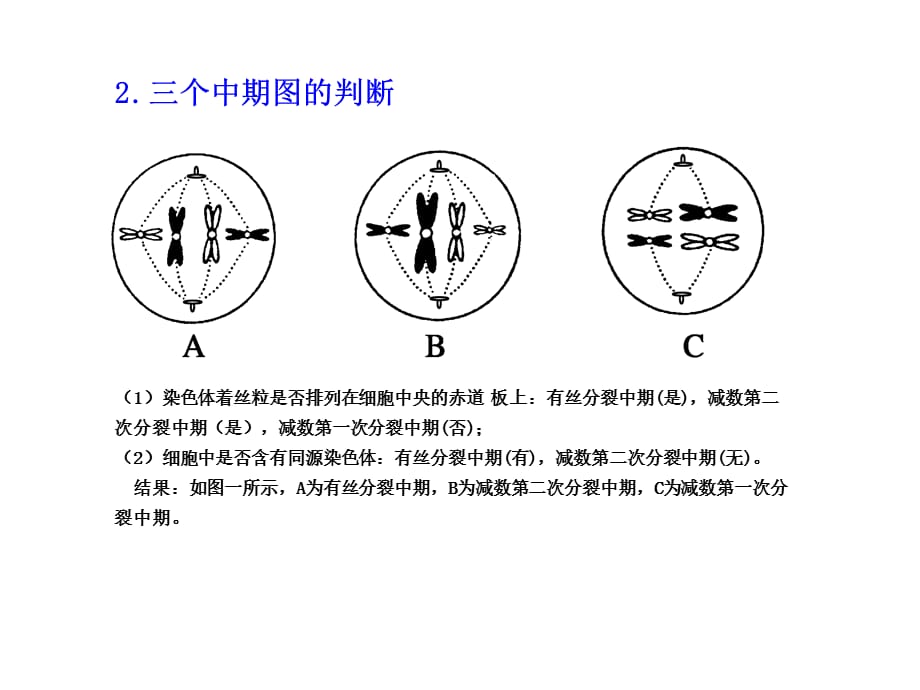 微课视频-有丝和分裂图像的区别-长沙县七中-刘兆群_第4页