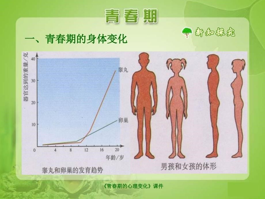 《青春期的心理变化》课件（经典实用）_第5页