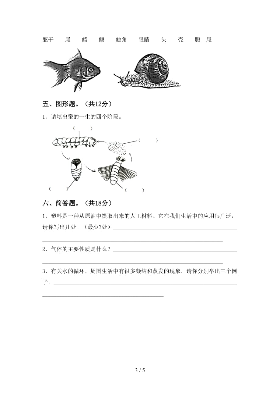 新教科版三年级科学下册期末试卷（精编）_第3页