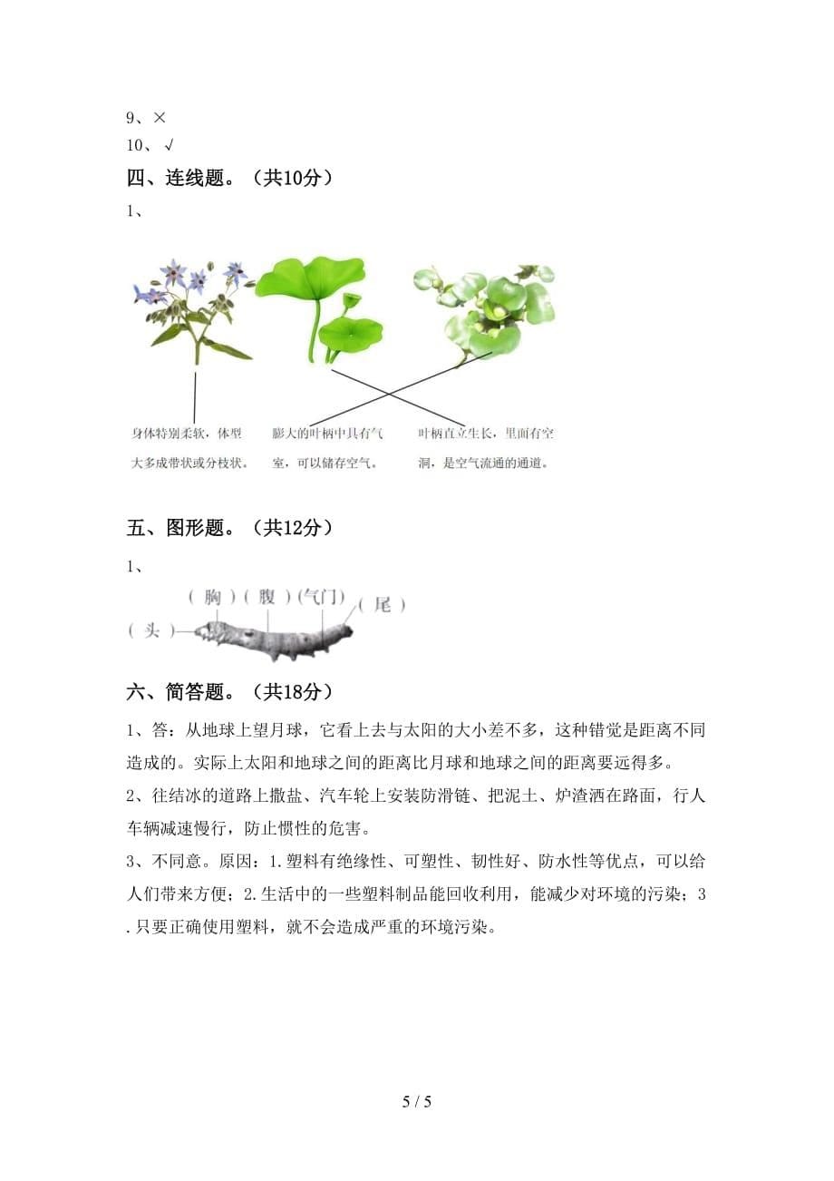 大象版三年级科学下册期中试卷（1套）_第5页