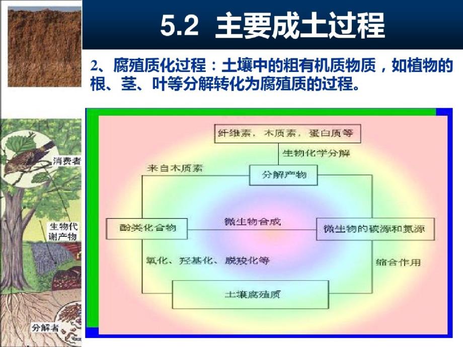 主要成土过程ppt课件-完整_第3页