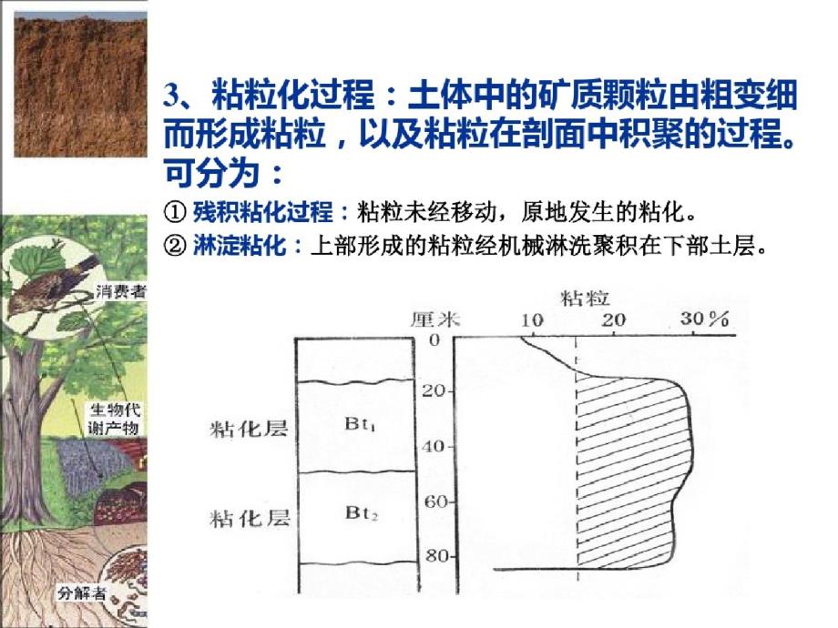 主要成土过程ppt课件-完整_第4页