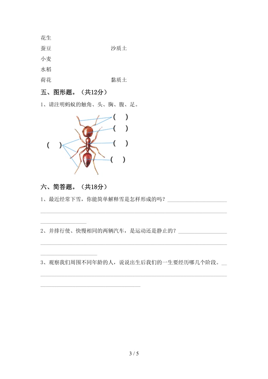 大象版三年级科学下册第一次月考考试（附答案）_第3页