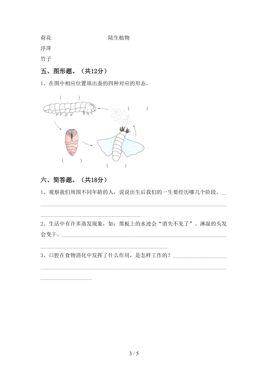 新教科版三年级科学下册第一次月考测试卷及答案【A4版】_第3页