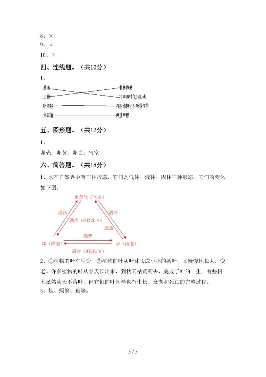 新教科版三年级科学下册期末试卷（最新）_第5页