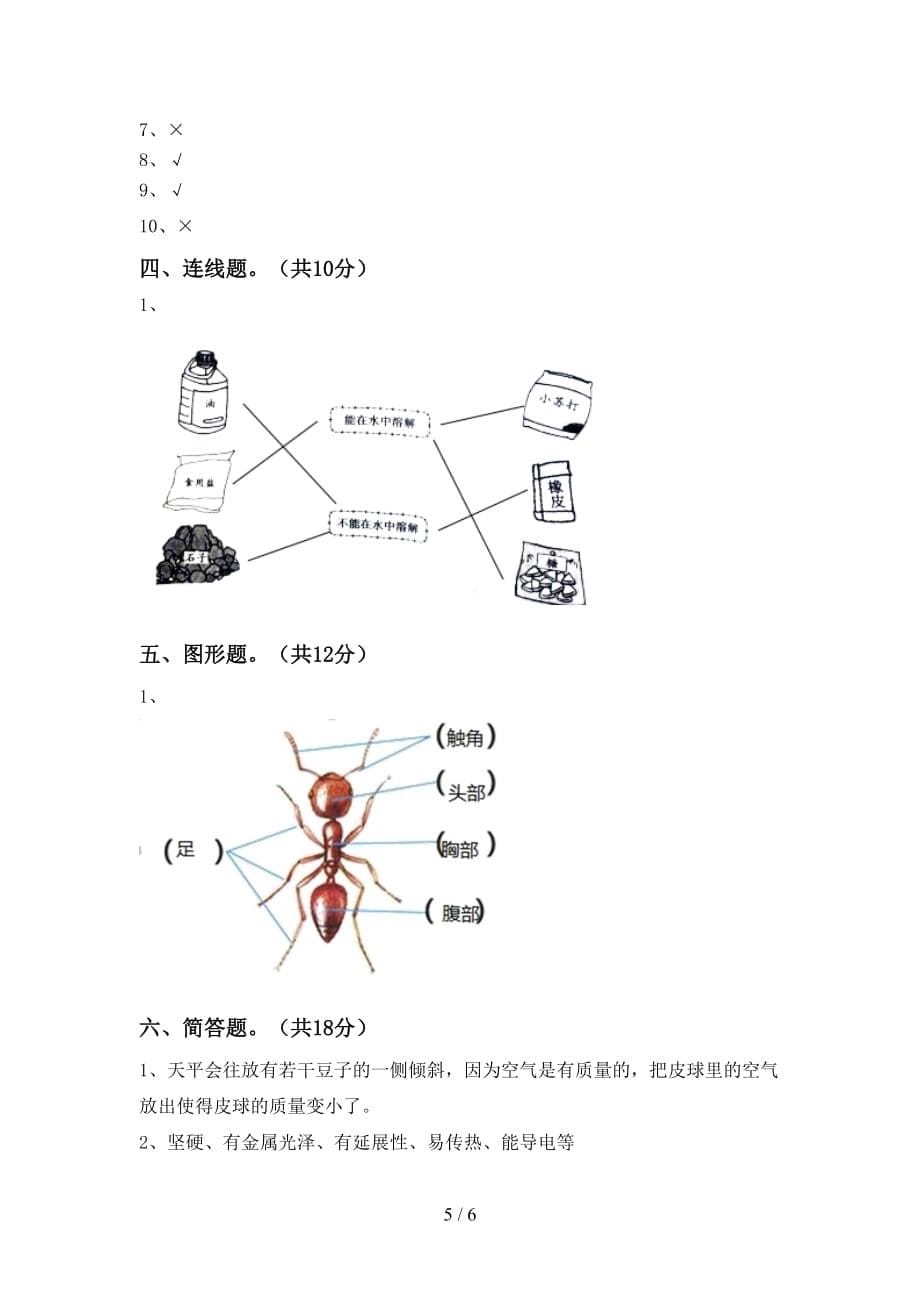 青岛版三年级科学下册期中考试（可打印）_第5页