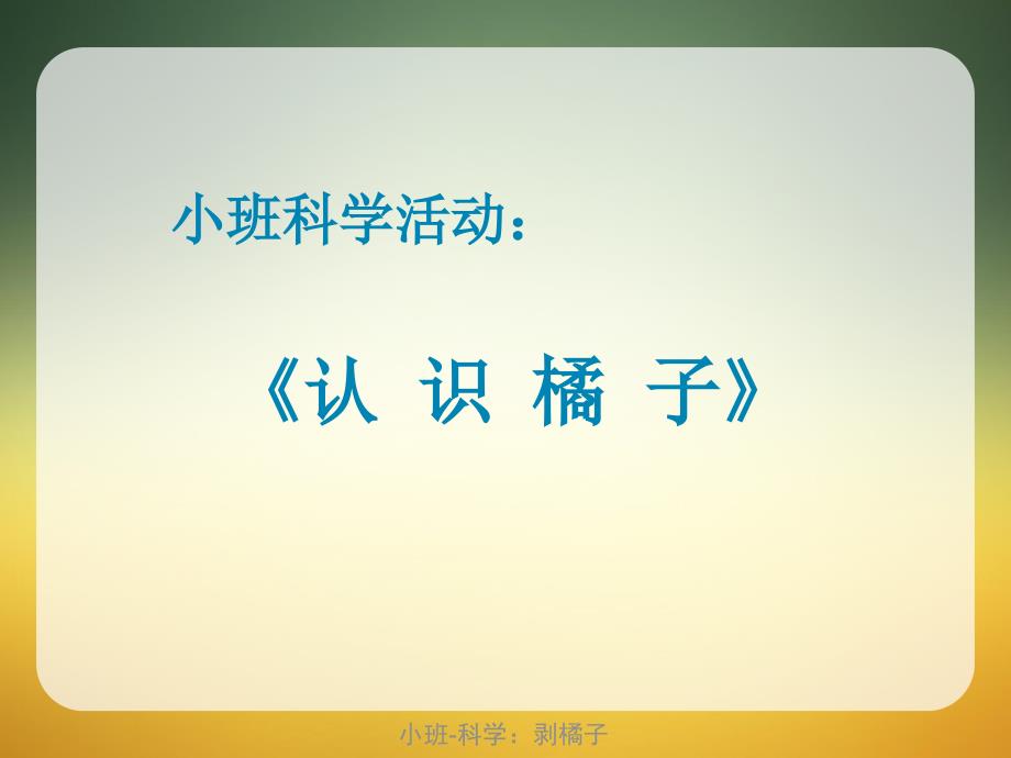 小班-科学：剥橘子（经典实用）_第1页