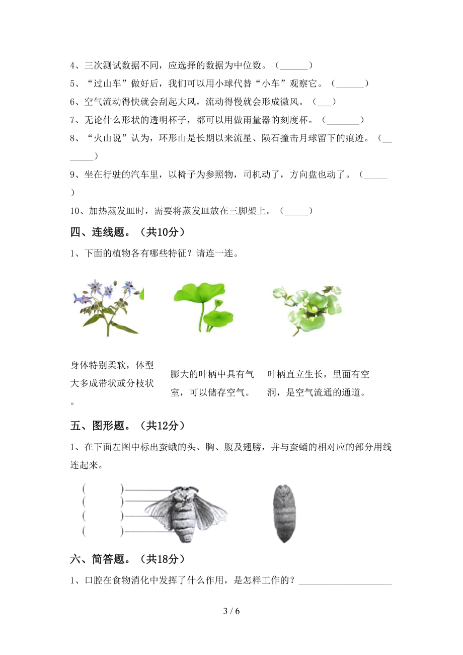 新人教版三年级科学下册期中试卷一_第3页