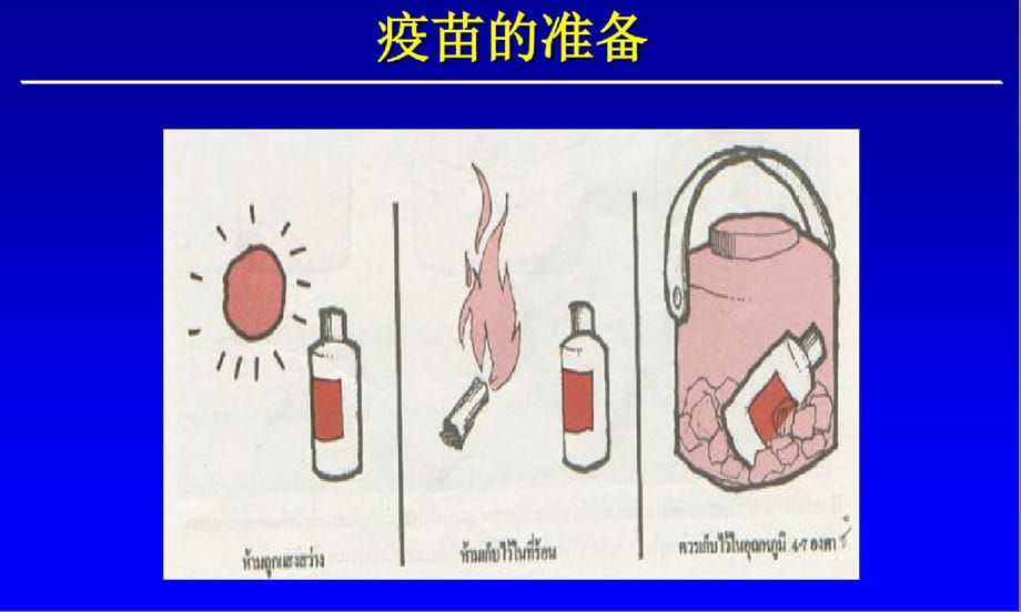 猪的疫苗注射ppt课件-完整_第5页