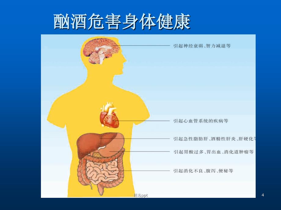 八年级生物下册远离烟酒_第4页