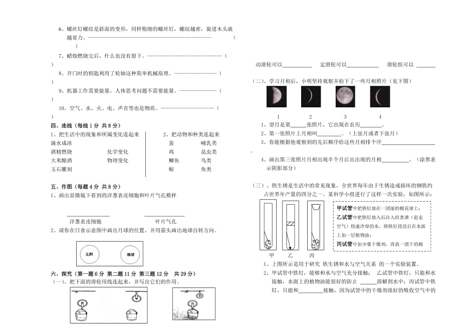 教科版小学科学六年级毕业试卷及答案3页_第2页