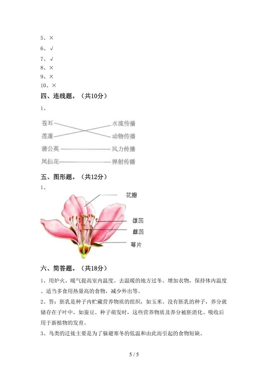 人教版四年级科学(下册)第一次月考复习卷及答案_第5页