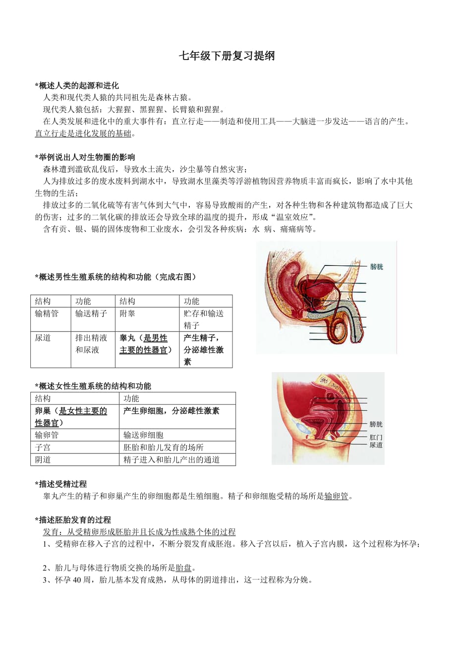 生物七年级下册期末复习提纲-重点9页_第1页